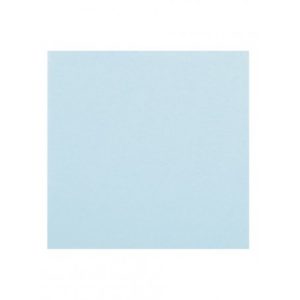 TOVAGLIOLO BLU FIORDALISO CM 33 PZ 16