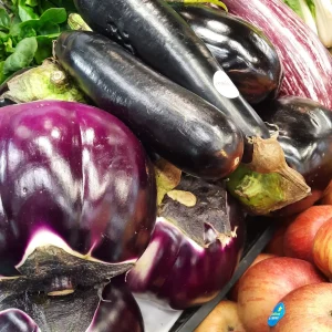 Melanzana Viola – Nera – Lunga