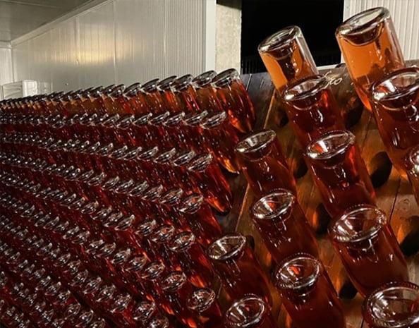 Riesling IGT PV- Bosco Longhino - immagine 2