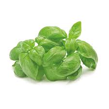 Basilico Extra (Italia)