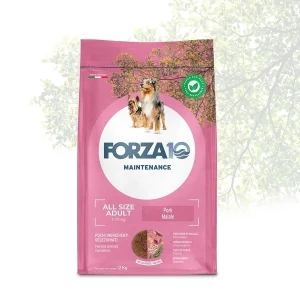 Crocchette per Cani Adulti Forza10 Maintenance All Size Gusto Maiale 12kg