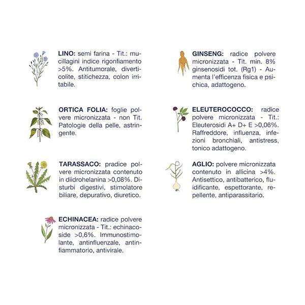 Crocchette per Cani Adulti Vet Line Gusto Cervo 12,5kg - immagine 3