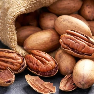 Noci Pecan (America del Nord)