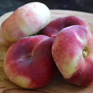 Pesche Saturnine o Tabacchiera (Italia)