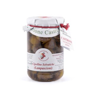 Cipolline Selvatiche – Lampascioni