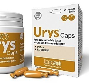 Urys Caps