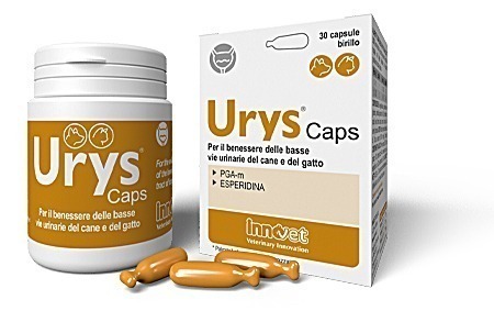 Urys Caps