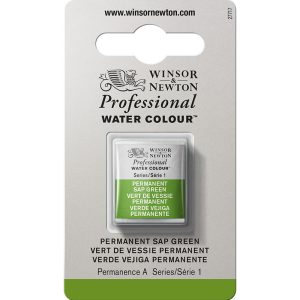 Colore ad acquarello Extra-Fine Winsor & Newton da 1/2 Godet – 503 permanent sap green
